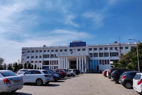 World College of Medical Sciences & Research (WCMSRH), Jhajjar